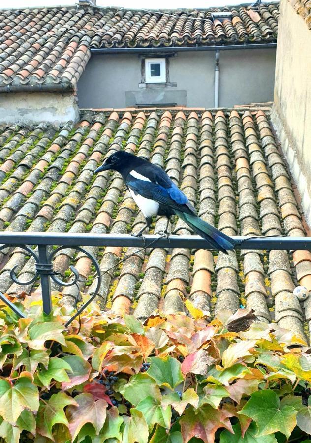 Maison De Maitre A Bram # Jacuzzi מראה חיצוני תמונה